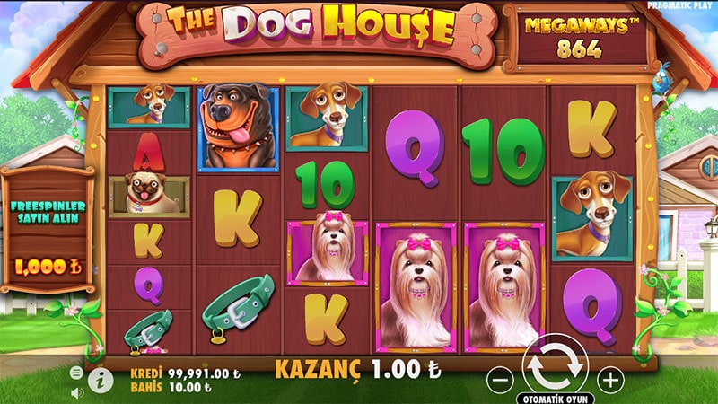 dog house megaways slot oyunu nasıl oynanır